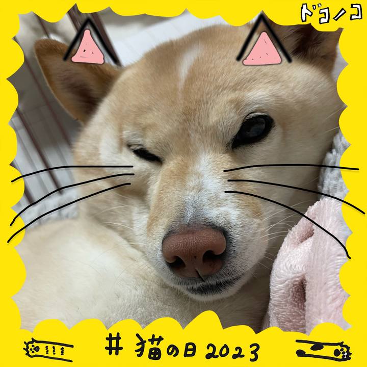 B472a566 bc75 4946 a70d 3fdd2aa4ac8c 1677019233073