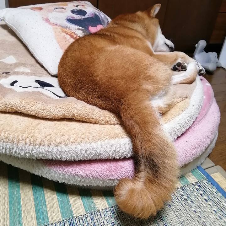 B472b222 0160 4975 9bb7 2ab89fd70408 1595602225389