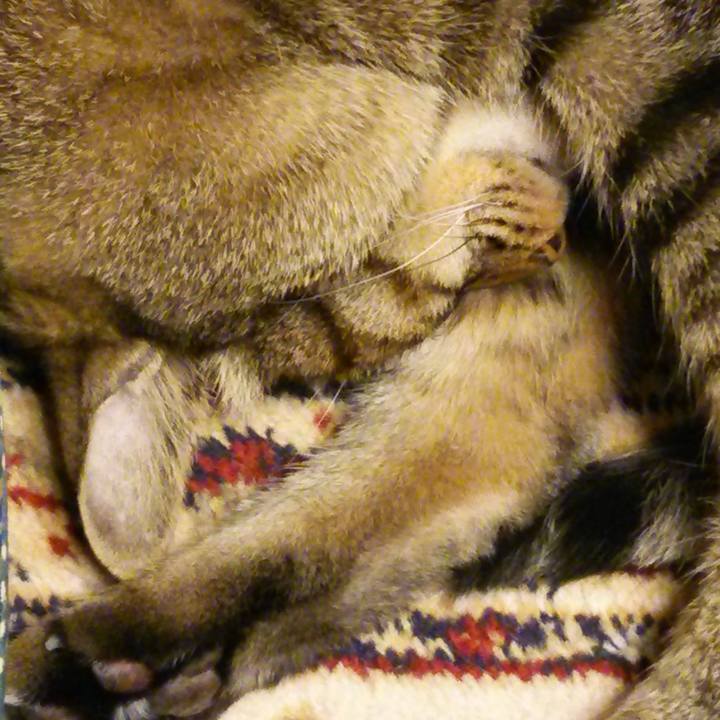 B472bdf2 b2fe 4cad 9e48 aff49883d9b0 1589073787429