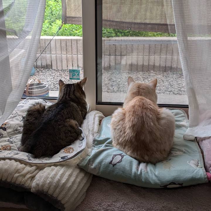 B472c421 b2c4 47aa 8150 b1e306ab9c2d 1722926851040