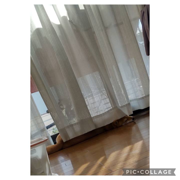 B47308bc 32f6 4d37 ae9f e457e70d088c 1707806485701