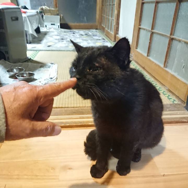 B47311d6 69a1 4d34 95e3 e5b5b296d6ad 1621162781378