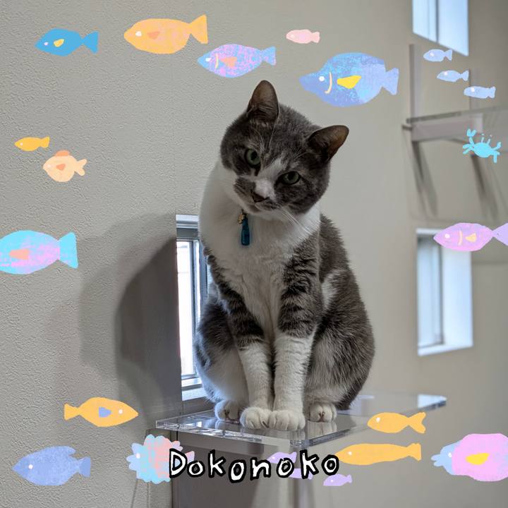 B4732941 a6cc 471b 9fc2 dc6a322484ef 1755055511223