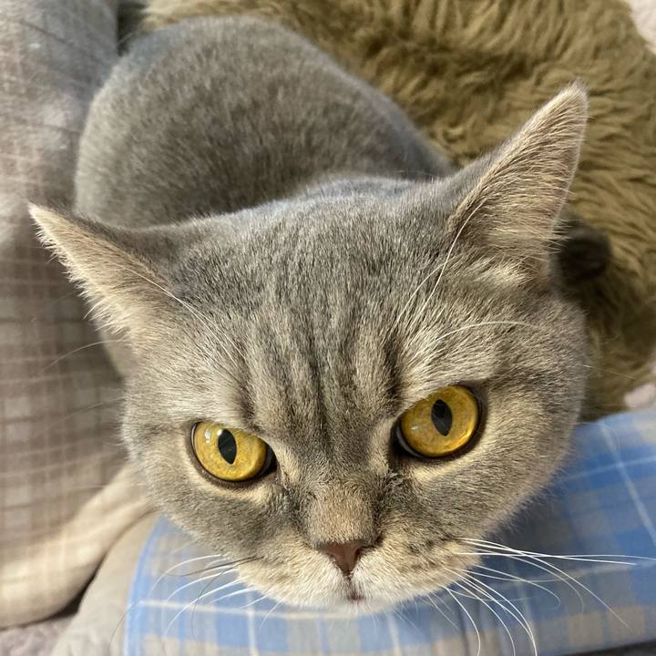 B47366a8 cf3a 4760 a6c4 1e404a0d7a1d 1767567590304