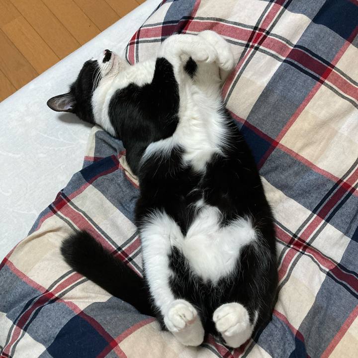 B47385c9 7b21 4e84 9690 1426801fd32c 1717768763367