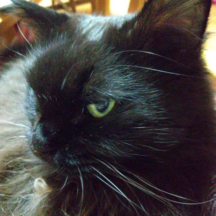 B4738a7f 3984 472d bf0d ebc0eb9a29a6 1701504499172