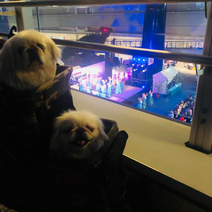 B473ae7c 09ee 47d8 940a 7d9b03adb434 1558876876910