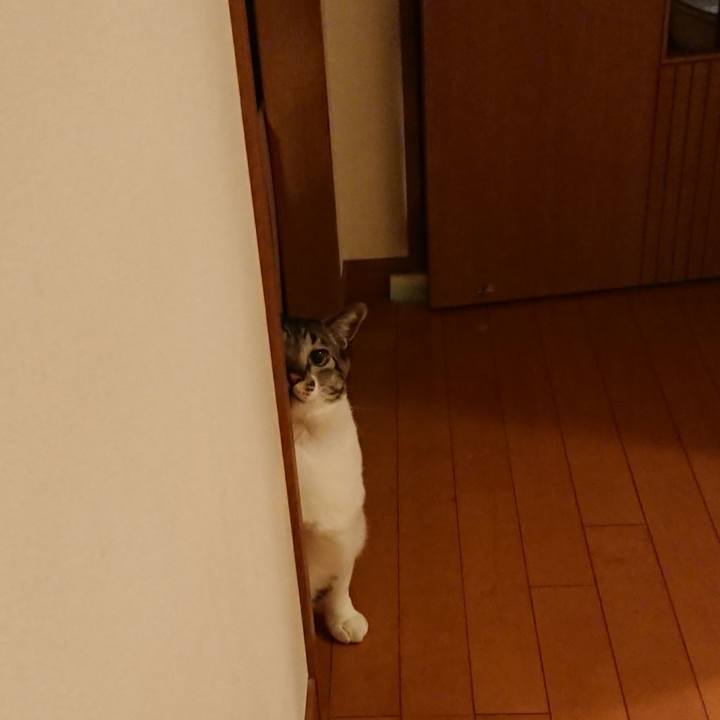 B473b5eb 8adb 40ea aa6b 58080c7c9ee5 1552950568060