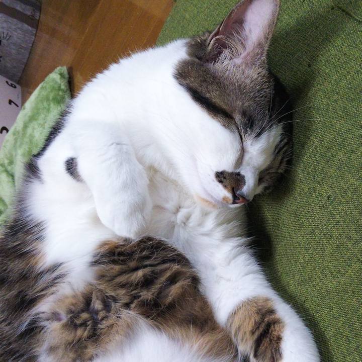 B4741d72 735d 4c91 a207 97fd05e19630 1637659270536