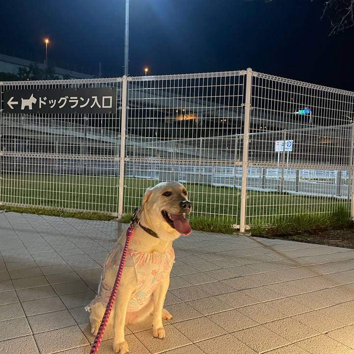 B4743d52 2d50 4c34 a1af 6077eba3cf8d 1662791373525