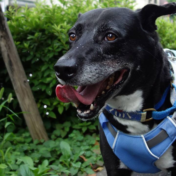 B4749050 d659 49f7 a53d 4334d8f69775 1720222182378