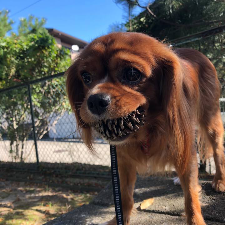 B474ca71 06c2 472b a505 5375f6dcabf0 1614942987005