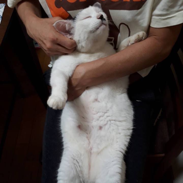 B4751e14 0850 47b8 81d8 46ad9bbd61ea 1660222644025