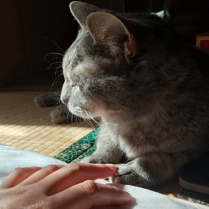 B475d53a 182c 4635 94a0 3ac99593daf5 1772759245943