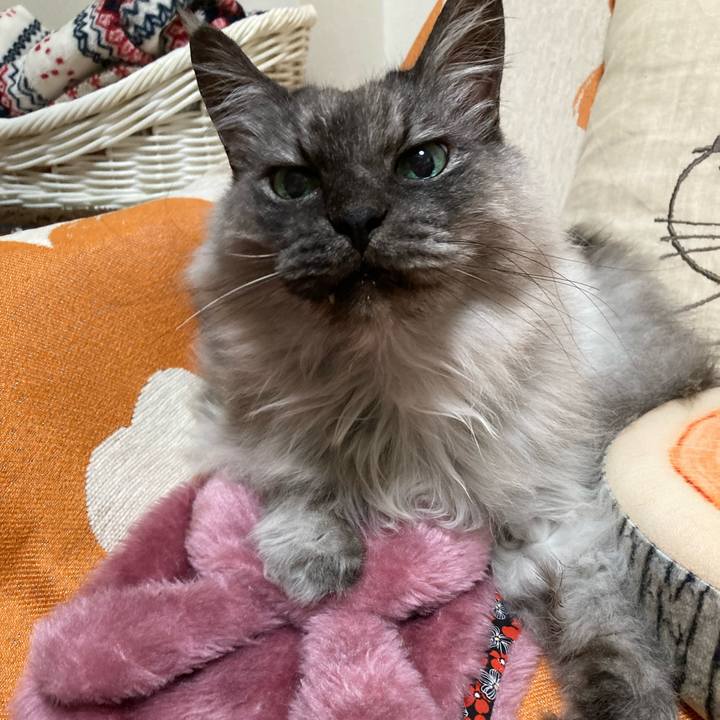 B4765065 eb69 43ff 8177 c8145d5beeea 1716842050650