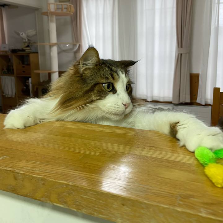 B4765b25 cc93 4afb ad2b 0c3f720971db 1743714084475