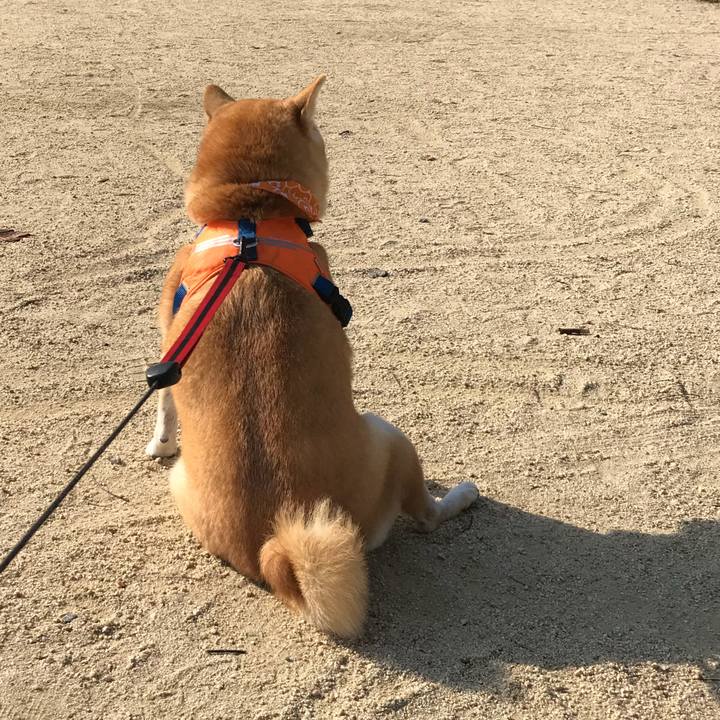 B4769fda 8eff 4e36 93ee 448eee0ef03f 1510142088307