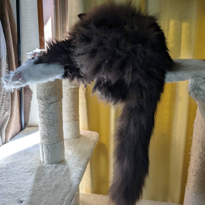 B476af30 b807 404e 8f32 dac833aacfc5 1669522375975