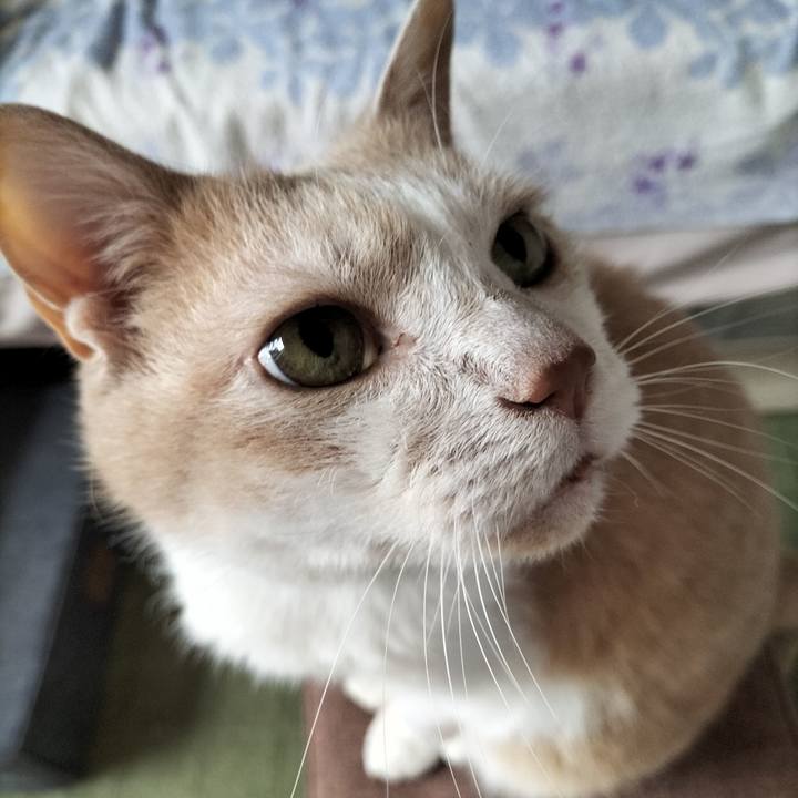 B476c5c2 9dc9 4e98 a779 34b186d96cc6 1655159306987