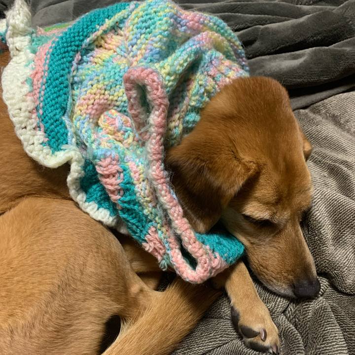 B476de9e fd9f 4cff 8cb4 f7fb3a2519e8 1576420359689