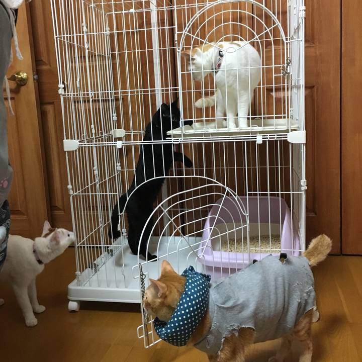 B47707de f7cb 4028 b0a9 37c8d9e93233 1530277075164