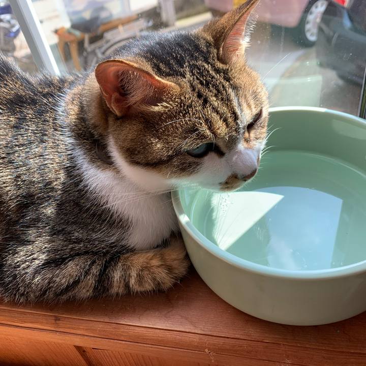 B4770c98 38ba 4ab3 8f34 5a3161b6a62b 1587201028169