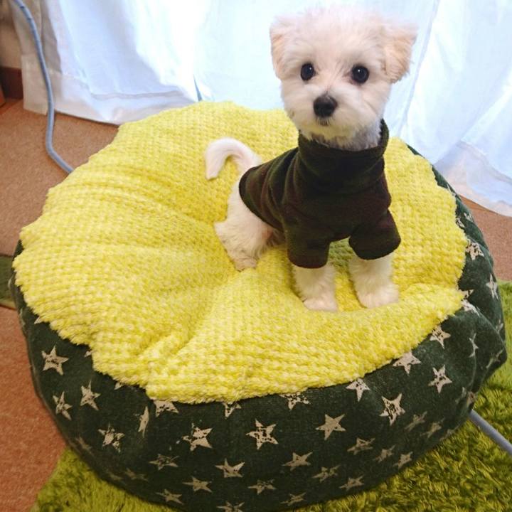 B4773323 6e72 42da 8a54 7783d19978f6 1513751106763