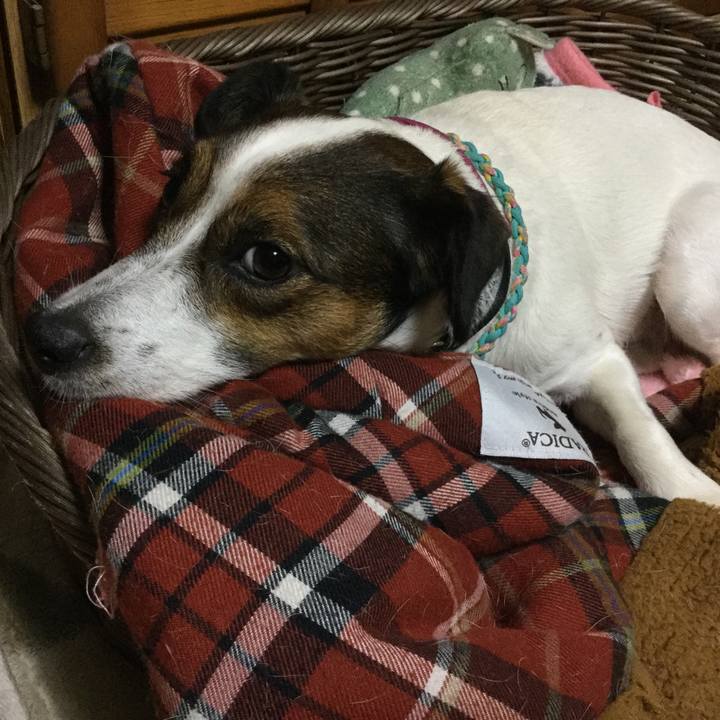 B4776a3d 0c5a 4318 9042 b5c111458eb4 1507978315477