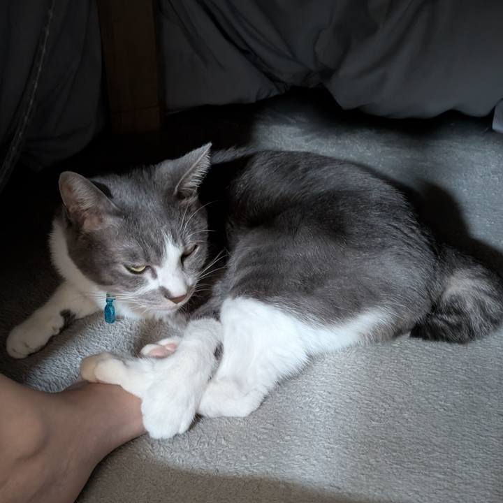 B477927f bce4 45b6 b4ce a1028f5a125d 1763273233268