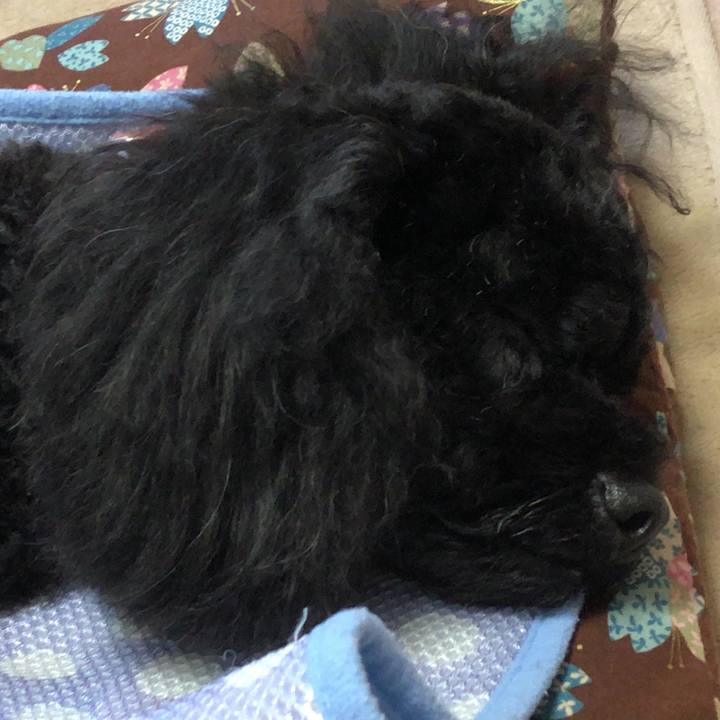 B477ec78 7221 4033 9e31 2aff8631d9ed 1534925100849