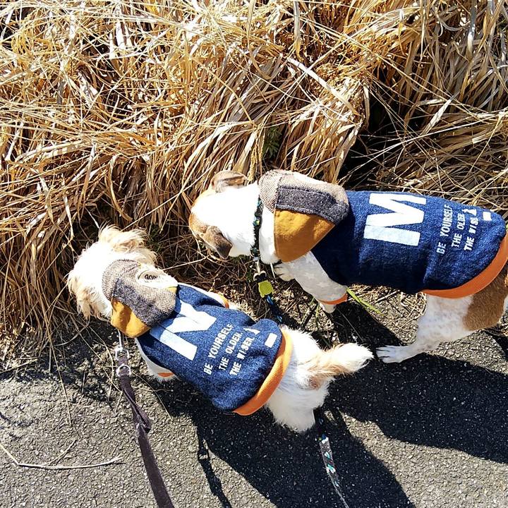 B477eeb5 0190 41c6 9226 4651d9ed0e08 1552208086311