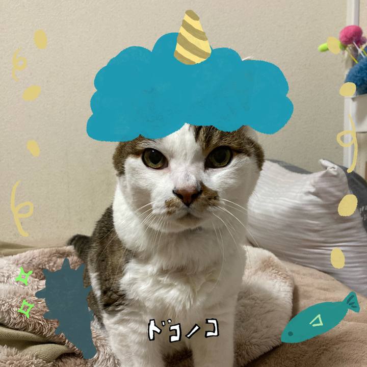 B4780994 f3f8 45cc a9c0 a6fee244ebda 1706902545595