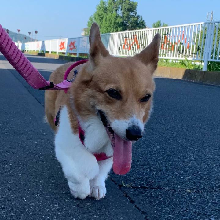 B478100d 8785 4d43 8d18 66450d565b2e 1689549286368