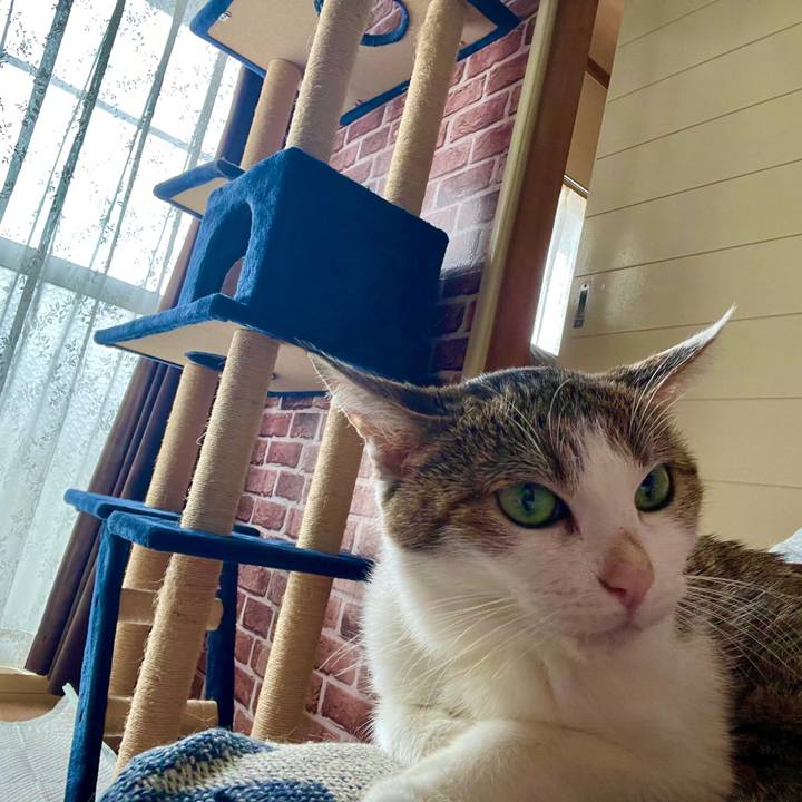 B47818e6 e781 4e0f ba9d 6d581860a067 1631752232161