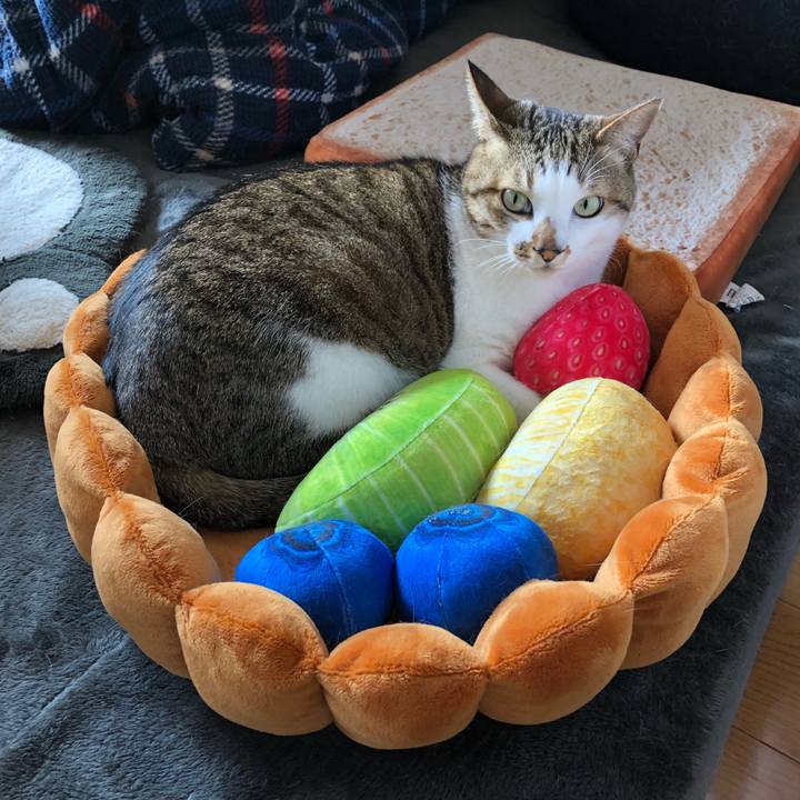 B478a7cf 669c 425b b7dc 33c21cc10e94 1537596063775