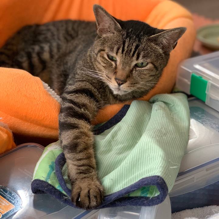 B4790906 4c73 4e39 9319 f7501500cee7 1562805717164