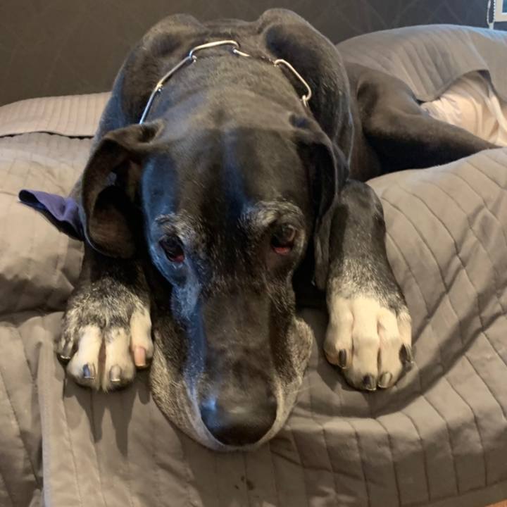 B47918c4 ed54 44bb b88d 2a3d7d74f83d 1558477431507