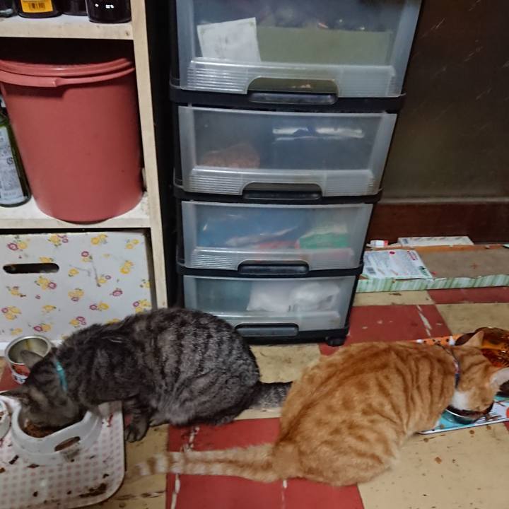 B4794128 6734 40b0 98ea f148ce67f6a1 1563133857087