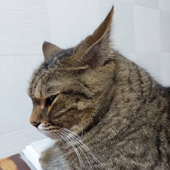 B4794527 d4d9 4474 b1f6 0de306626f7f 1628854956004