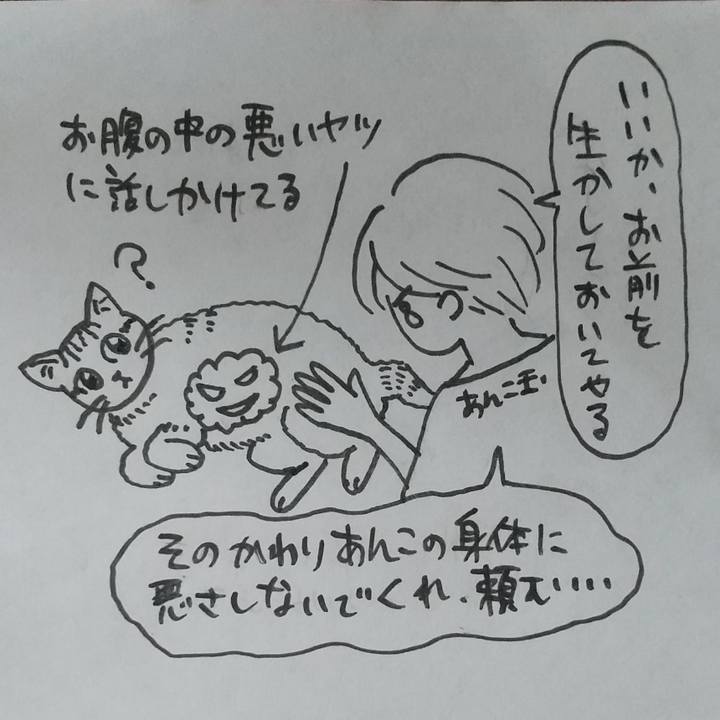 B47951f0 985f 45bd 91dd cdae9add5565 1657671762094