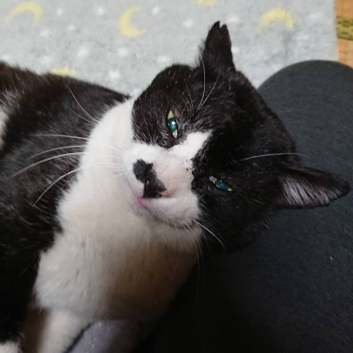 B4795630 1e84 4c4c a177 052c0d9720d3 1646220893507