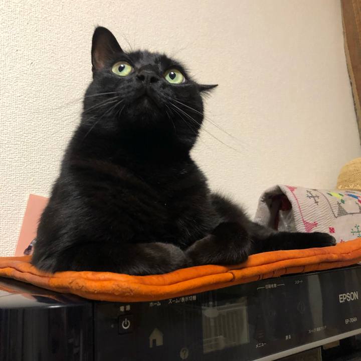 B4798602 4c50 4a4d b6ee 118b7e7b0d7b 1561632561386