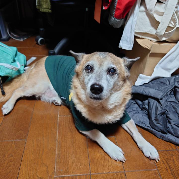 B479a3f4 5b40 4201 a459 bf41a5f78484 1648811357858