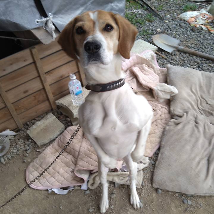 B479fb64 2ab4 4231 9254 5c58a50fd501 1647506819389