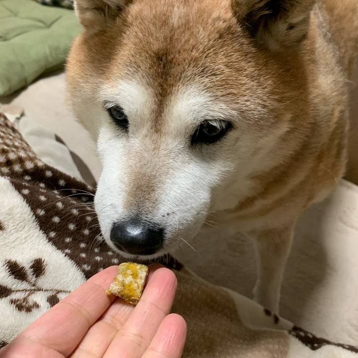 B47a053e af44 4962 a1ed 26365935ca7e 1580648953266