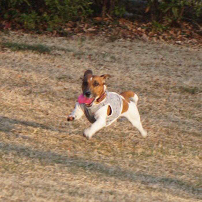 B47a0823 a5fd 4e01 9091 573e92f2a336 1520119265880