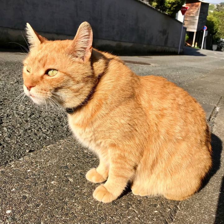 B47a26e9 663d 4121 a1f0 31166efb4766 1524180266831