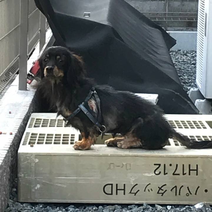 B47a4452 8eca 45fa 80b3 e79dd136c4e1 1535504978343