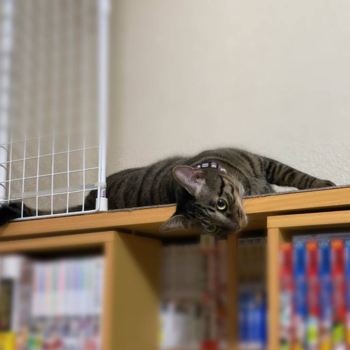 B47a545a 262b 4197 9164 03073c284a14 1571498403728