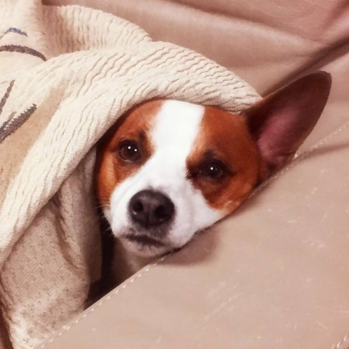 B47a5831 31ec 4660 b4de 76e1ef8e4ea4 1510597727127